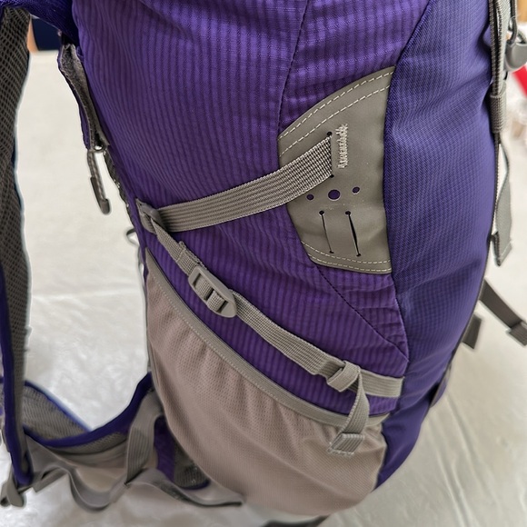 Jansport TRAVERSE 20 Liter BACKPACK - Purple/Grey - Picture 15 of 16